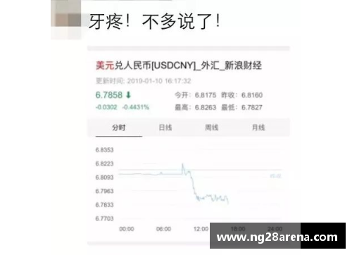 NG南宫28人民币兑美元创45个月新高节前结汇旺季后人民币或面临阶 - 副本