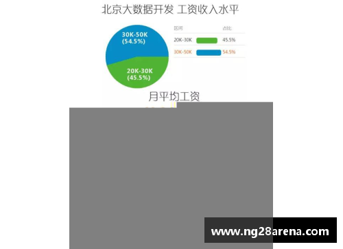 NG南宫28英超球员薪酬：挖掘赛场上的金字塔 - 副本