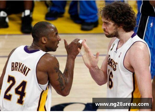 NG南宫28NBA球队是否有专属的飞行器来往？ - 副本